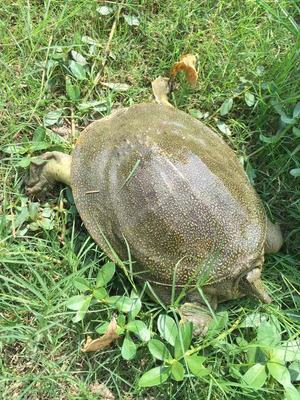 微信图片_20240909104958